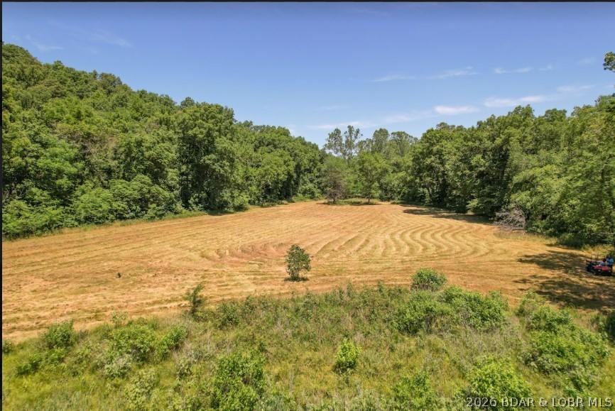 Image 4: Open pasture