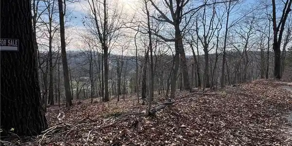 Lot 580 Manchester Lane
