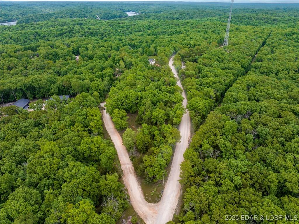 Image 2: Aerial View