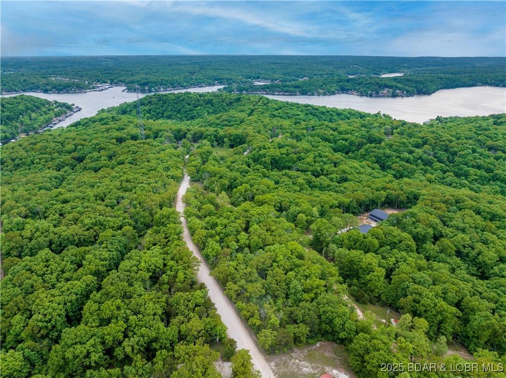Image 4: Mostly Wooded Building Lot