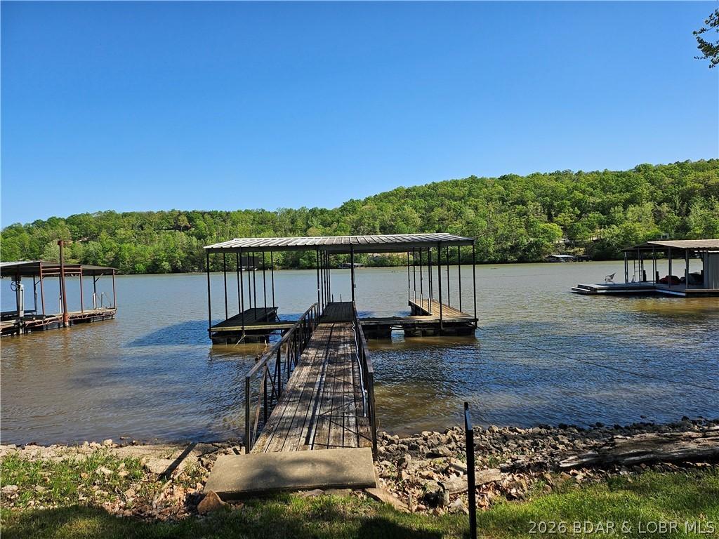 Image 4: Closer view of dock.  No steps, very easy access.
