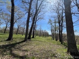 Image 3: Enjoy a more park like setting!