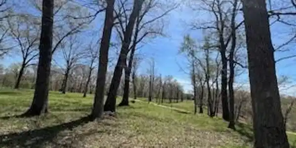 Image 3: Enjoy a more park like setting!