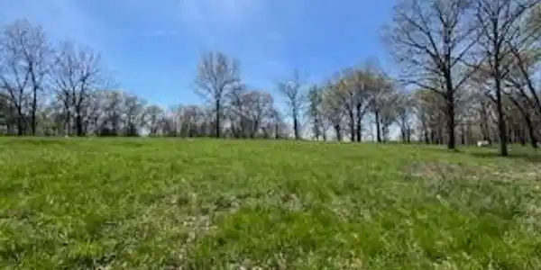 Image 4: Perfect flat building spots
