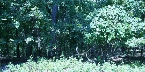 Lot 770 Cherokee Road