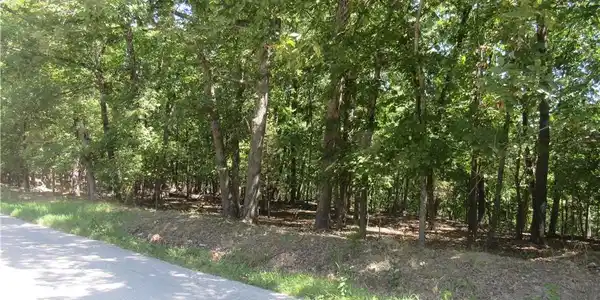 TBD Bear Paw Road