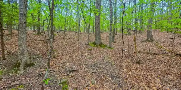 Lot #499 Grand View Drive