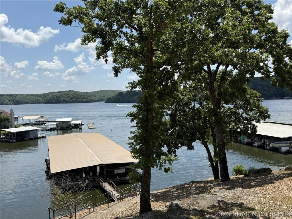 Image 2: View of the lake in the summer
