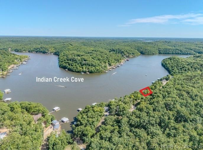 Image 2: Big cove