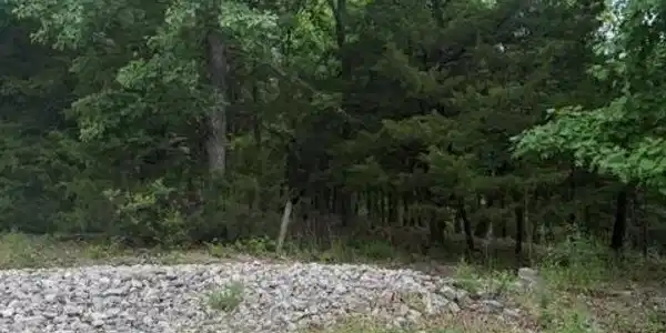Lot 75 Regency Cove Drive