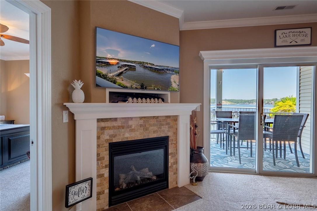 Image 3: Gas Fireplace