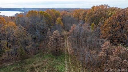 53 Acres Buckridge Road