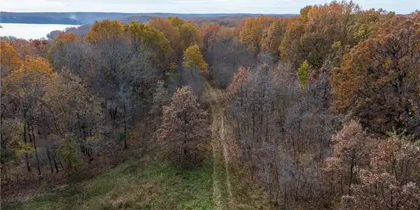 53 Acres Buckridge Road
