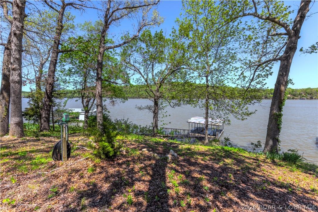 Image 4: Lot with dock & electric