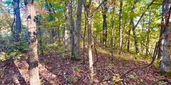 Lot#5,6 &7 Lakewood Lane