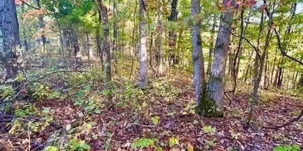 Lot#4 Lakewood Lane