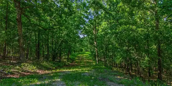 Lot 1169,1143 Elliott Place
