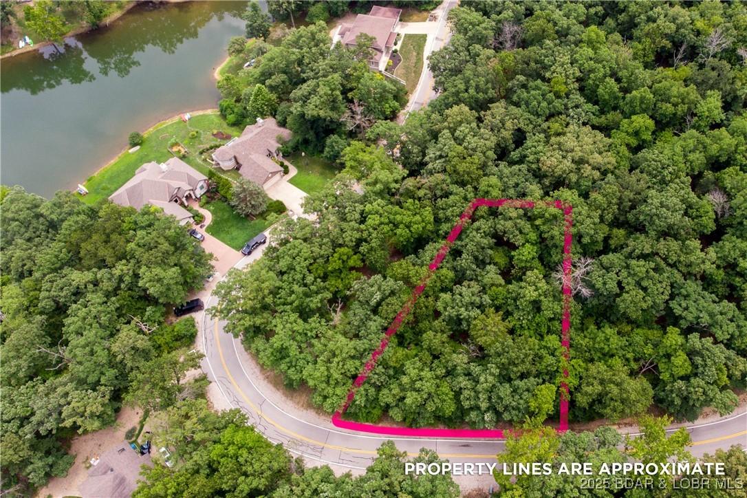 Image 1: Aerial View of the Lot