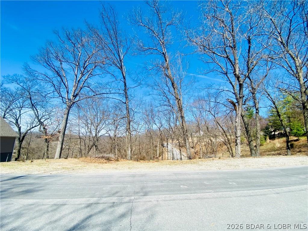 Image 3: Lot 41 Beacon Ridge