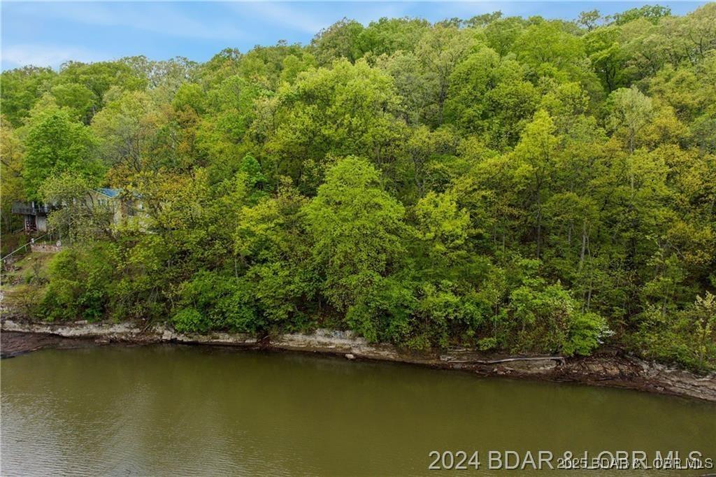 Image 1: Lake Front Lot