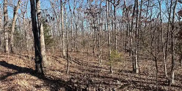 Thong Tree Road