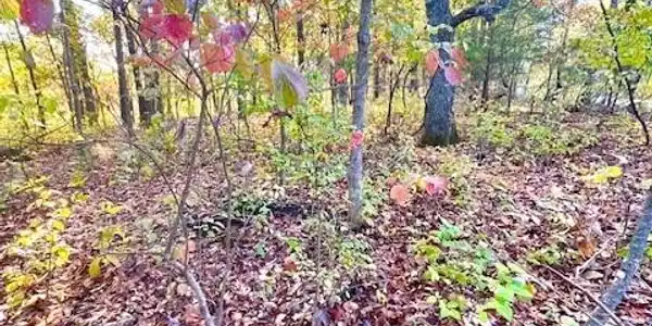 Lot#5 Lakewood Lane