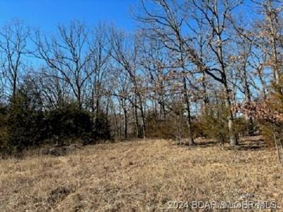 TBD BUCKINGHAM Drive