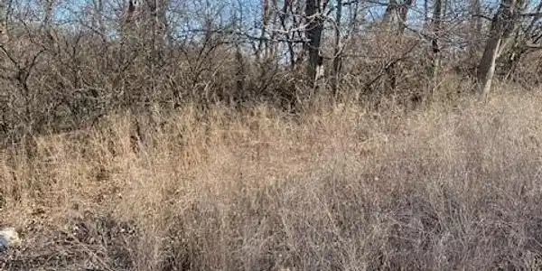 Lot 31 Country Club Cove Drive