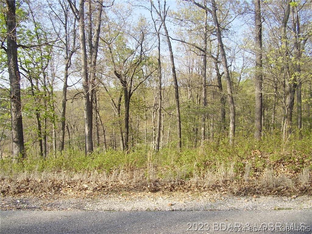Image 3: Wooded Building Lot