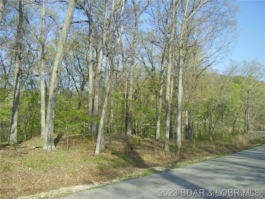 Image 4: Lots of Oak Trees & Dogwood Trees