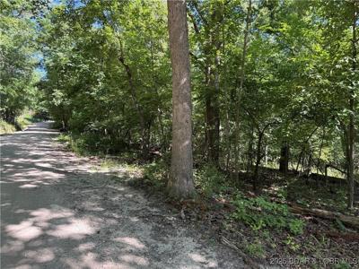 TBD Lot #2 Bowers Drive