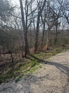 Lot 979 Bobcat