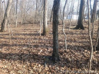 LOT TBD 344 Austin Circle
