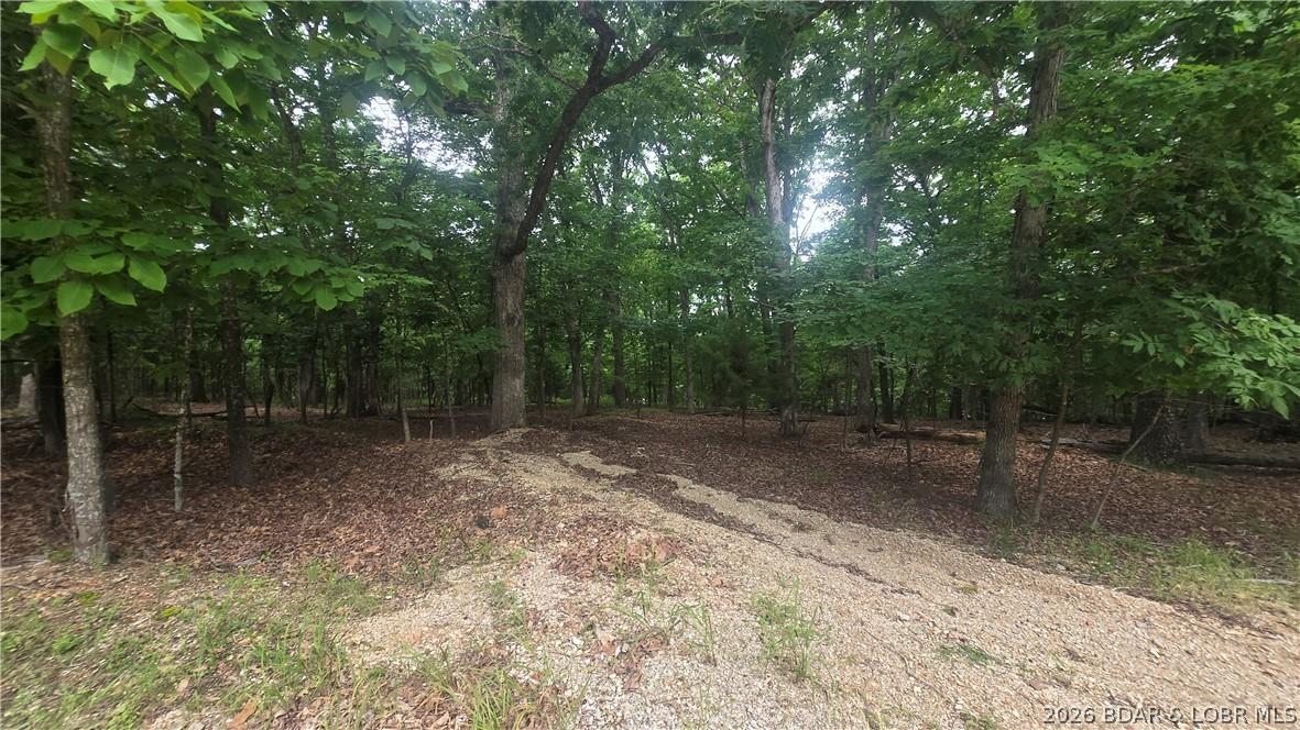 Image 3: Approximate NE corner of lot
