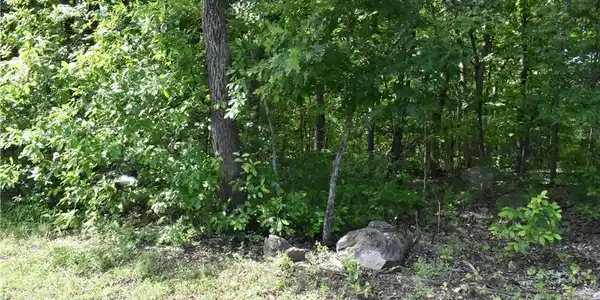 Lot 100 Horseshoe Bend Pkwy