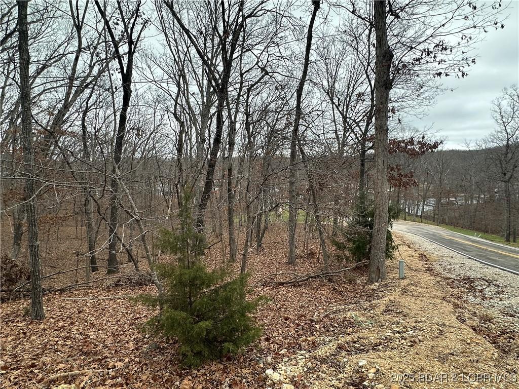 Image 4: Lot looking down