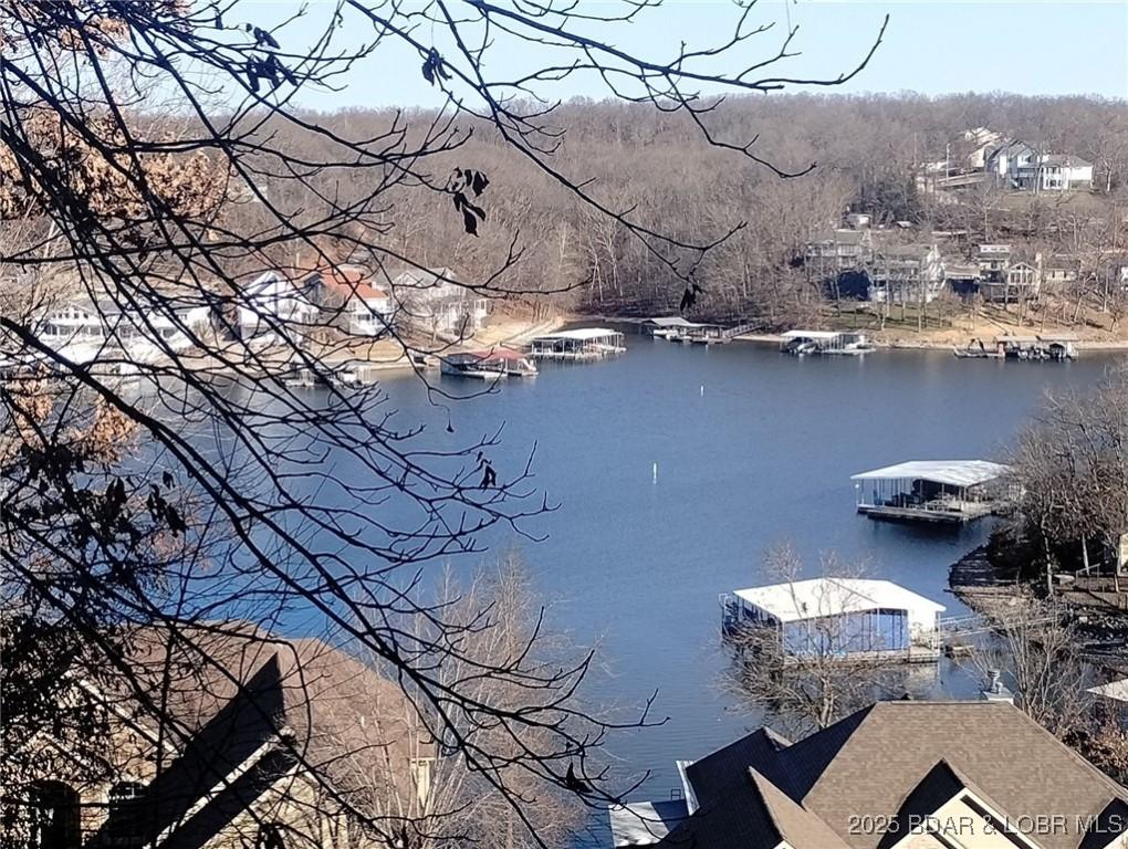 Image 1: Lake view from right side of subject lot. Trees ha