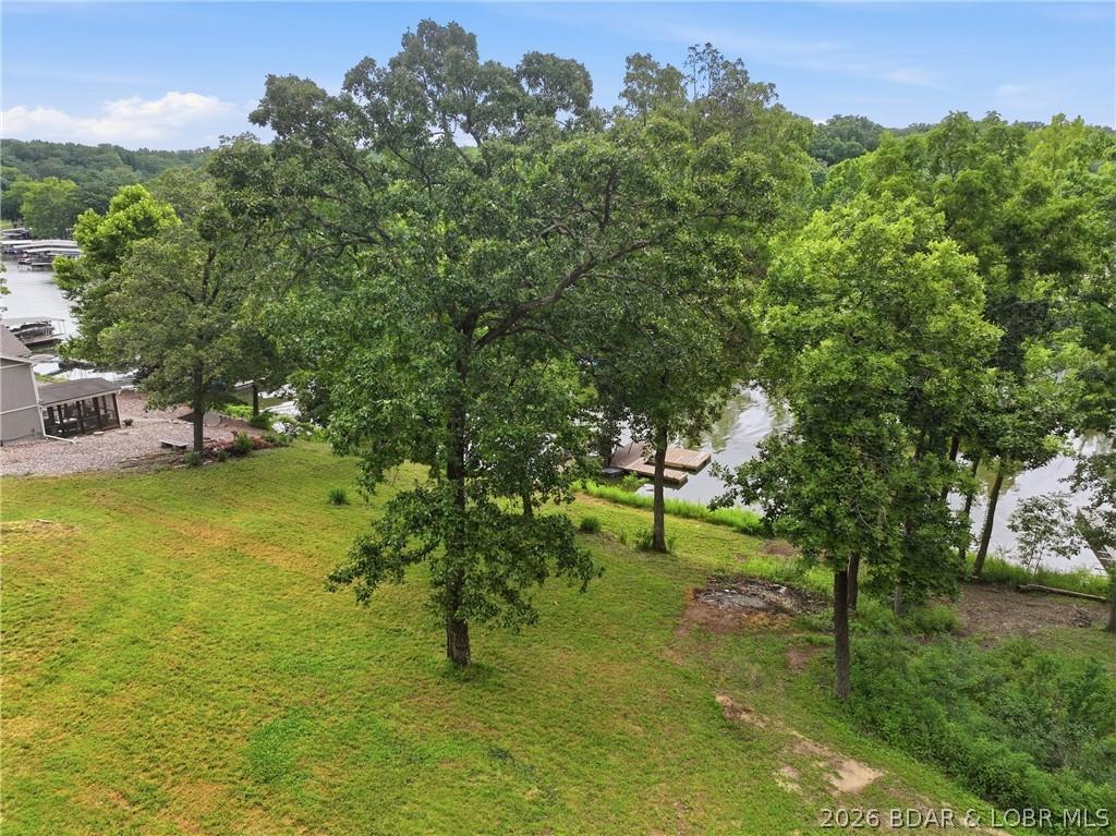 Image 3: Gentle sloping lot