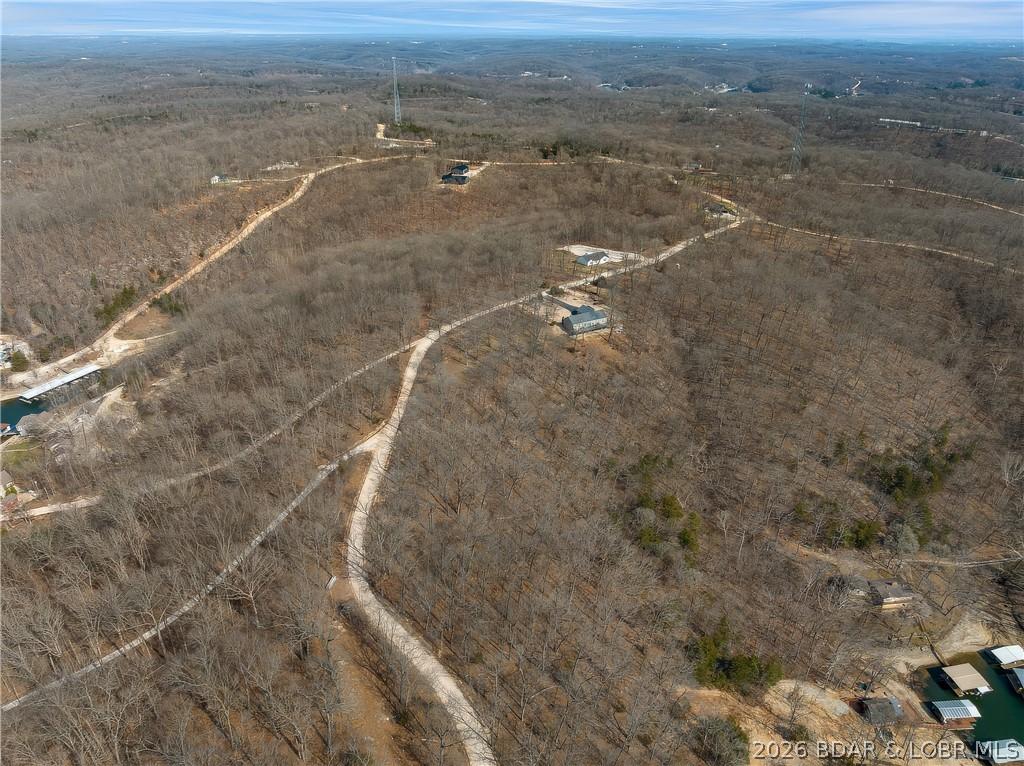 Image 3: Aerial View