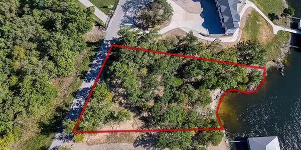 TBD Forest Trace