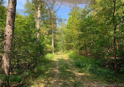 17ac Forrest Hill Lane