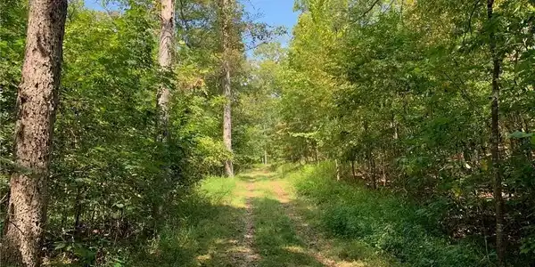 17ac Forrest Hill Lane