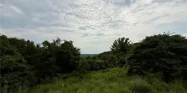 LOTS 50 & 52 EAGLES LANDING