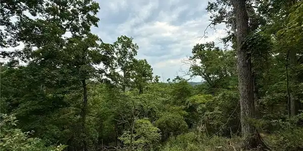 LOTS 53 & 54 OZARK HILLS