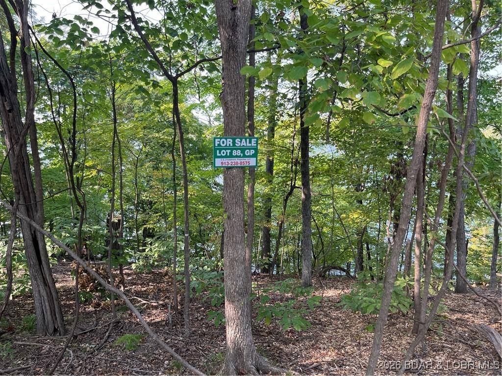 Image 3: LOT 88 GP STREET VIEW