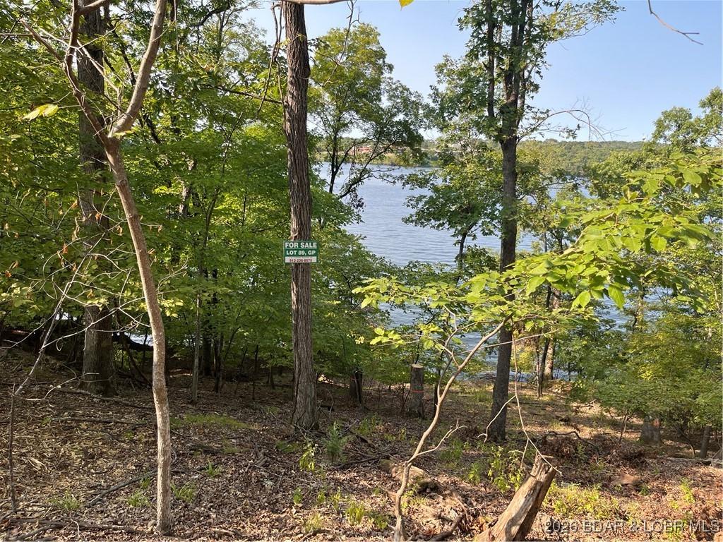 Image 4: LOT 89 GP