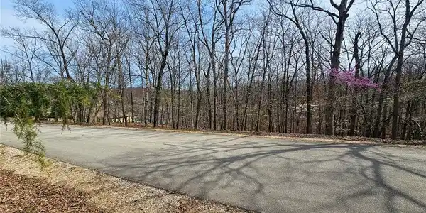 Lot #300 Lake Drive