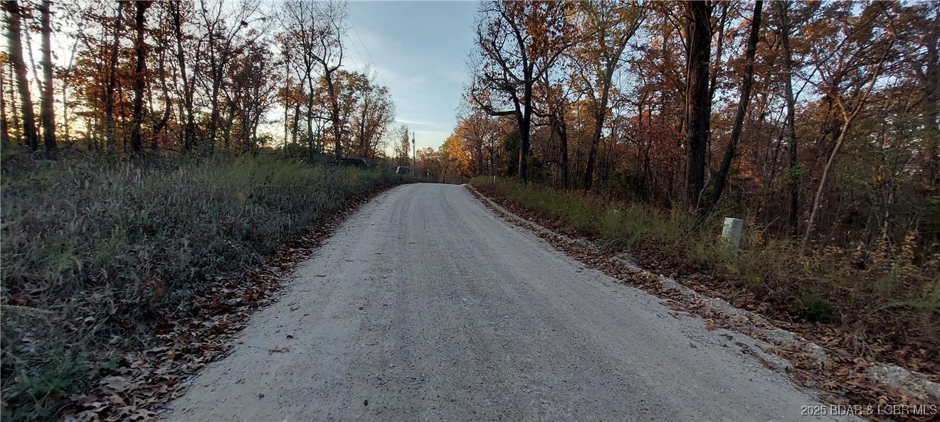 Image 2: Well kept gravel road to property
