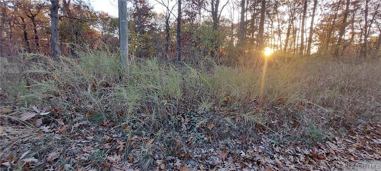 Image 3: raw land with electric available