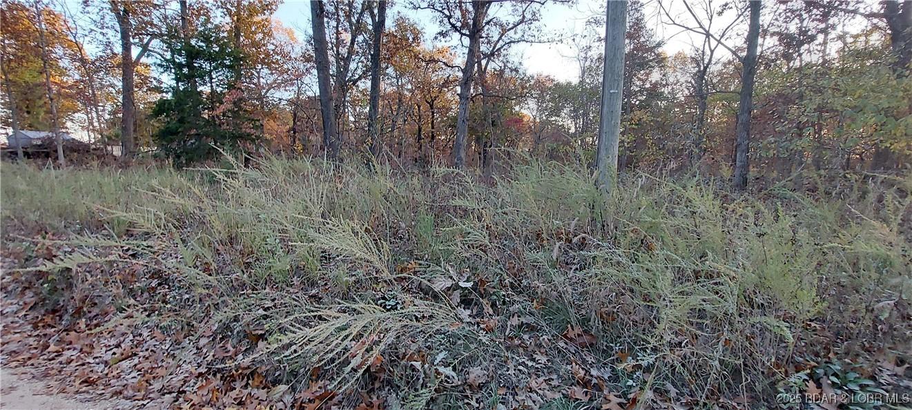 Image 4: raw land with electric available